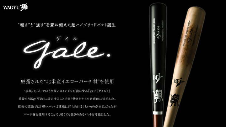 楽天市場】和牛JB 硬式木製バット GALE ゲイル バーチ 硬式 木製 GALE 