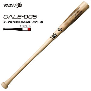 aJB dؐobg GALE QC o[` d ؐ GALE-005yz