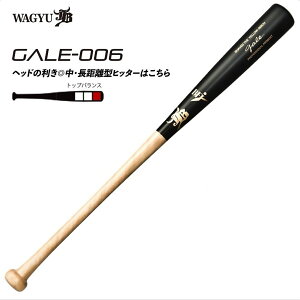 aJB dؐobg GALE QC o[` d ؐ GALE-006yz