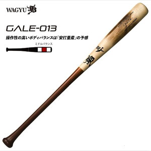 aJB dؐobg GALE QC o[` d ؐ GALE-013yz