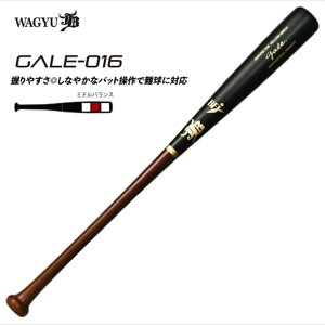 aJB dؐobg GALE QC o[` d ؐ GALE-016yz