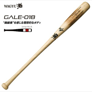 aJB dؐobg GALE QC o[` d ؐ GALE-018yz