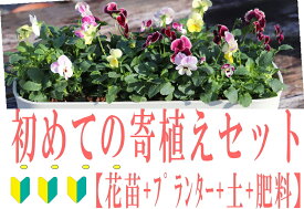 楽天市場 ガーデニング 花苗の通販