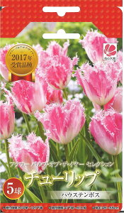 夏 花 植えの人気商品 通販 価格比較 価格 Com