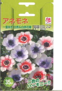 夏 花 植え 種の人気商品 通販 価格比較 価格 Com