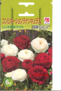 ラナンキュラス 球根の人気商品 通販 価格比較 価格 Com