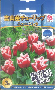 夏 ガーデニング 花 球根の人気商品 通販 価格比較 価格 Com