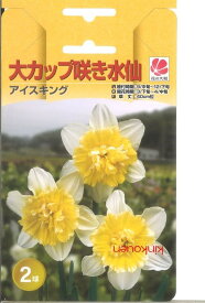 楽天市場 植えっぱなし 球根 水仙の通販