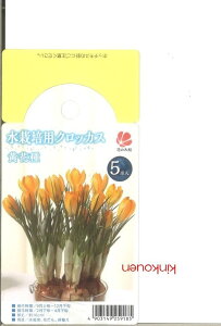 球根 水栽培 球根の人気商品 通販 価格比較 価格 Com