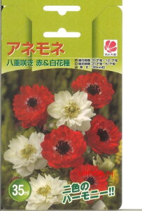 アネモネ 種 球根の人気商品 通販 価格比較 価格 Com