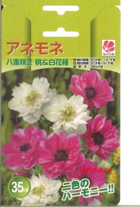 アネモネ 種の人気商品 通販 価格比較 価格 Com