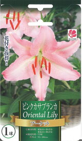 楽天市場 球根 カラーブラック 種類 植物 ユリ ガーデニング 農業 花 ガーデン Diy の通販