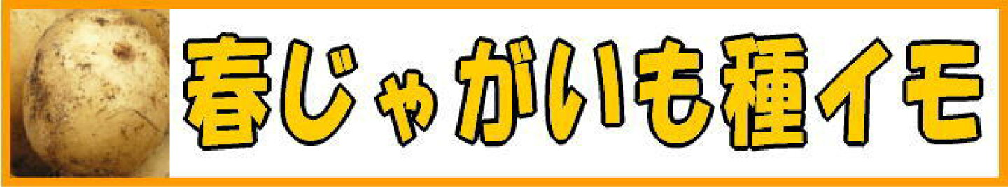 じゃがいも種イモ