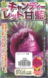 【代引不可】【送料5袋まで80円】 □キャベツ キャンディーレッド甘藍