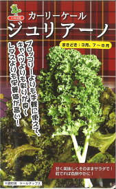 【代引不可】【送料5袋まで80円】 □ カーリーケール ジュリアーノ■種子 キャベツ 種種子 葉野菜 他 種ハーブ 種 種子 キャベツ 種種子 葉野菜 他 種ハーブ 種 種子 キャベツ 種種子 葉野菜 他 種ハーブ 種 種子 キャベツ 種種子 葉野