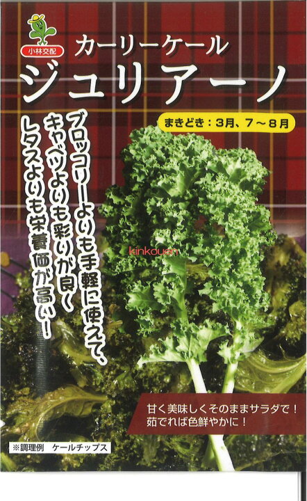 【代引不可】【送料5袋まで80円】 カーリーケール ジュリアーノ 錦幸園 ◇ seed たね tane 種 種子 タネ ハーブアーティチョーク■種子 葉野菜 他 種ハーブ 種 種子 葉野菜 他 種ハーブ 種 種子 葉野菜 他 種ハーブ 種 種子 葉野菜 他 種ハーブ 種 種子 葉野菜