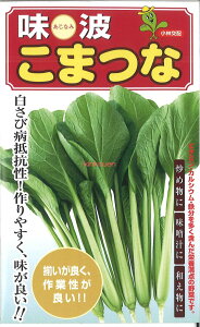 yszy5܂܂80~z R}ci g ܂