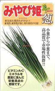 �y����s�z�y����5�܂܂�80�~�z seed ���� tane �� ��q�@���݂�ѕP�K ����q��q �l�M ��݂�ѕP�K��q��q �l�M �� seed ���� tane �� ��q�݂�ѕP�K��q��q �l�M �� seed ���� tane �� ��q��