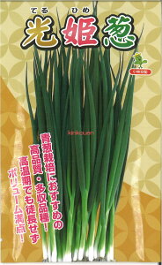 �y����s�z�y����5�܂܂�80�~�z seed ���� tane �� ��q�@�����P�K ����q��q �l�M ����P�K��q��q �l�M �� seed ���� tane �� ��q���P�K��q��q �l�M �� seed ���� tane �� ��q���P�K��q��q