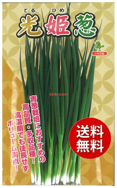 限定品 ネギの種 野菜の種 細ねぎ 15ml 葉菜