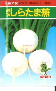 yszy5܂܂80~z Ju ϕa炽ܕ