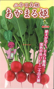 �y����s�z�y����5�܂܂�80�~�z seed ���� tane �� ��q�@����\���卪�����܂�P ����q��q �卪 �J�u ���\���卪�����܂�P��q��q �卪 �J�u �� seed ���� tane �� ��q��\���卪������