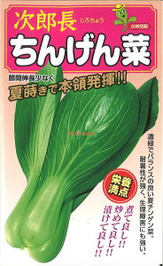 yszy5܂܂80~z seed  tane  q@Y񂰂 qq t  펟Y񂰂؎qq t   seed  tane  qY񂰂؎qq 