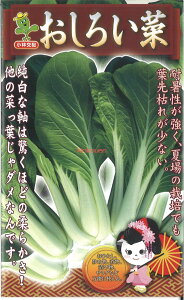 yszy5܂܂80~z seed  tane  q@낢 qq t  킨낢؎qq t   seed  tane  q낢؎qq t   seed 