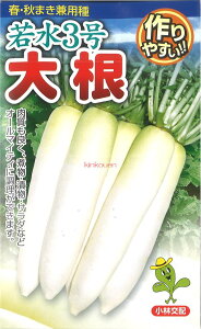 yszy5܂܂80~z seed  tane  q@ᐅ3卪 qq 卪 Ju ᐅ3卪qq 卪 Ju  seed  tane  qᐅ3卪qq 卪 Ju  seed 