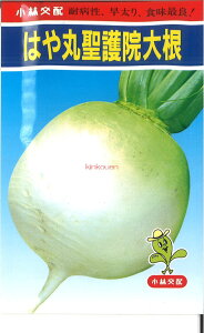 �y����s�z�y����5�܂܂�80�~�z seed ���� tane �� ��q�@���͂�ې���@�卪 ����q��q �卪 �J�u ��͂�ې���@�卪��q��q �卪 �J�u �� seed ���� tane �� ��q�͂�ې���@�卪��q��q 