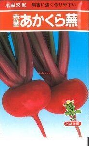 yszy5܂܂80~z Ԍs畓