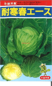 yszy5܂܂80~z seed  tane  q@ϊtG[X qq Lxc ϊtG[Xqq Lxc  seed  tane  qϊtG[Xqq Lxc  see