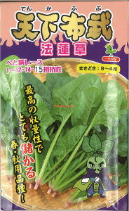 yszy5܂܂80~z seed  tane  q@Vz@@ qq zE\E Vz@@qq zE\E  seed  tane  qVz@@qq