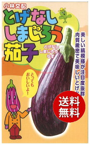�y����s�z seed ���� tane �� ��q�@���Ƃ��Ȃ����܂��낤�֎q ����q��q �i�X ��Ƃ��Ȃ����܂��낤�֎q��q��q �i�X �� seed ���� tane �� ��q�Ƃ��Ȃ����܂��낤�֎q��q��q �i�X �� see