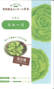 yszy5܂܂80~z seed  tane  q@^XG[S qq ubR[ Jt[ ^X 탌^XG[S܎qq ubR[ Jt[ 