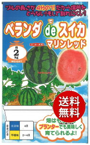 �y����s�z seed ���� tane �� ��q�@���x�����_de�X�C�J�}�������b�h ����q��q �X�C�J �S�[�� �E�� ��x�����_de�X�C�J�}�������b�h��q��q �X�C�J �S�[�� �E�� �� seed ���� tane
