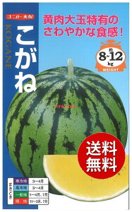 �y����s�z seed ���� tane �� ��q�@�������� ����q��q �X�C�J �S�[�� �E�� �킱���ˎ�q��q �X�C�J �S�[�� �E�� �� seed ���� tane �� ��q�����ˎ�q��q �X�C�J �S�[�� �E�� �� see
