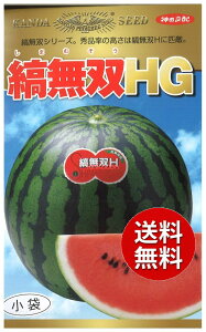 �y����s�z seed ���� tane �� ��q�@���X�C�J�Ȗ��oHG ����q��q �X�C�J �S�[�� �E�� ��X�C�J�Ȗ��oHG��q��q �X�C�J �S�[�� �E�� �� seed ���� tane �� ��q�X�C�J�Ȗ��oHG��q��q �X�C