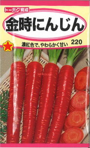 yszy5܂܂80~z seed  tane  q@ɂ񂶂 qq lQ ɂ񂶂qq lQ  seed  tane  qɂ񂶂qq lQ  seed  tane  