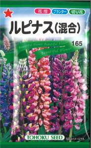 yszy5܂܂80~z seed  tane  q@siX qq  탋siXqq   seed  tane  qsiXqq   seed  tane  q