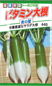 yszy5܂܂80~z seed  tane  q@r^~卪̖ qq 卪 Ju r^~卪̖qq 卪 Ju  seed  tane  qr^~卪̖