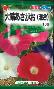 12{蔭@yszy5܂܂80~z seed  tane  q@ւ qq  ւqq   seed  tane  qւq