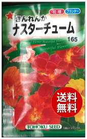 【代引不可】 seed たね tane 種 種子　□きんれんかナスタ-チュ-ム ◇種子種子 花 種きんれんかナスタ-チュ-ム種子種子 花 種 seed たね tane 種 種子きんれんかナスタ-チュ-ム種子種子 花 種 see