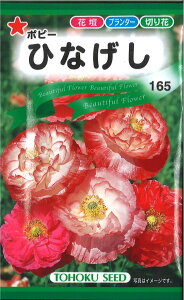 yszy5܂܂80~z seed  tane  q@|s[ЂȂ qq  |s[ЂȂqq   seed  tane  q|s[ЂȂqq   seed  tane 