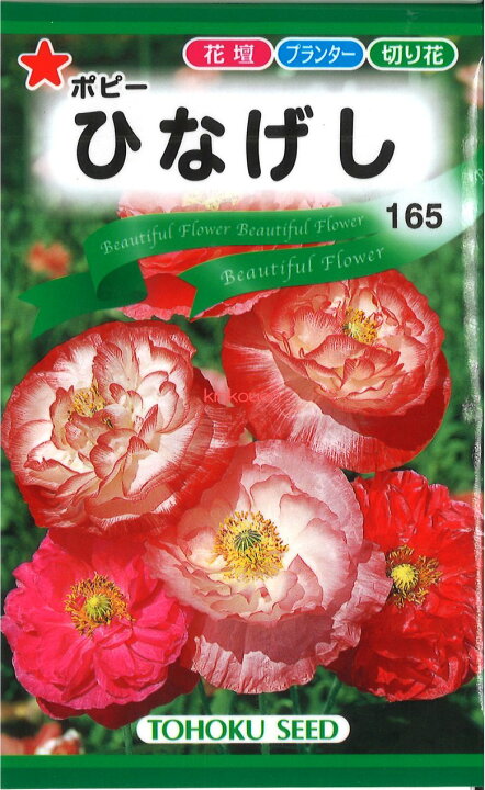 【代引不可】【送料5袋まで80円】 ひなげし 錦幸園 ◇ seed たね tane 種 種子 タネ 切花用金魚草■花 種 花 種 花 種 花 種 花 種 花 種 花 種 花 種 花 種 花 種 花 種 花 種 花 種■花 種 花 種 花 種 花 種 花 種 花 種
