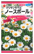 【代引不可】【送料10袋まで80円】 seed たね tane 種 種子　□クリサンセマムノースポール ◇種子種子 …
