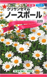 yszy5܂܂80~z NTZ} m[X|[