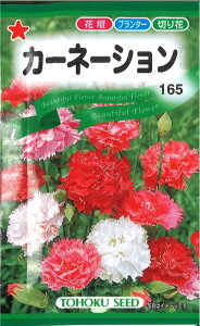 yszy5܂܂80~z J[l[V