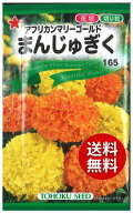 【代引不可】 seed たね tane 種 種子　□アフリカンマリーゴールドまんじゅぎく ◇種子種子 花 種アフリ…