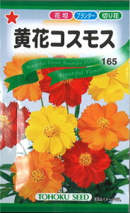 12{蔭@yszy5܂܂80~z seed  tane  q@ԃRXX qq  퉩ԃRXXqq   seed  tane  qԃRXXqq   seed